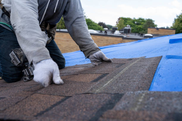 Best Emergency Roof Repair  in Tracy City, TN